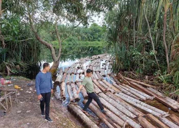 Perambah Rusak Cagar Biosfer Giam Siak Kecil, Polda Riau Tangkap Mafia Kayu ‘Anak Jenderal’