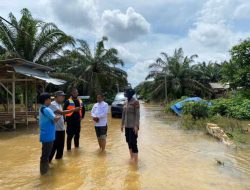 Inhu Terendam Banjir, Ratusan Rumah dan Kebun Sawit Warga Batang Gansal Tergenang