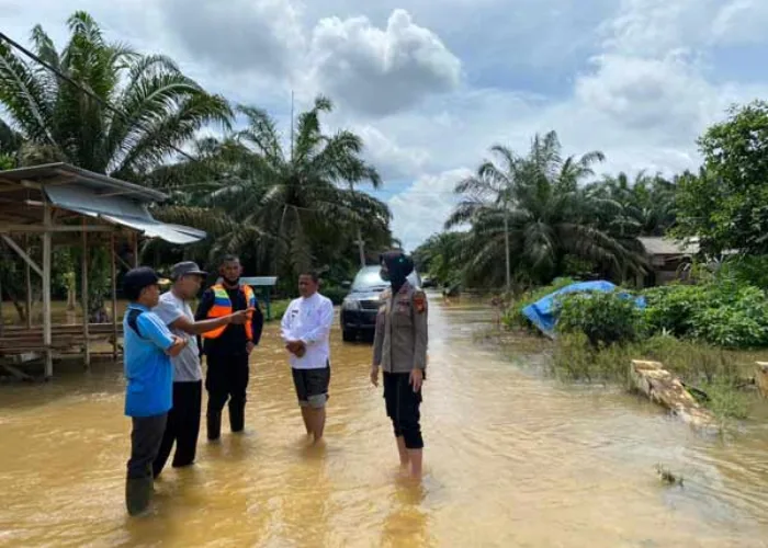 Inhu Terendam Banjir, Ratusan Rumah dan Kebun Sawit Warga Batang Gansal Tergenang