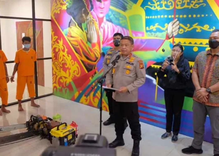 Hutan Riau Dibabat, 2.319 Kubik Kayu Diamankan, Kapolda Kejar Cukong