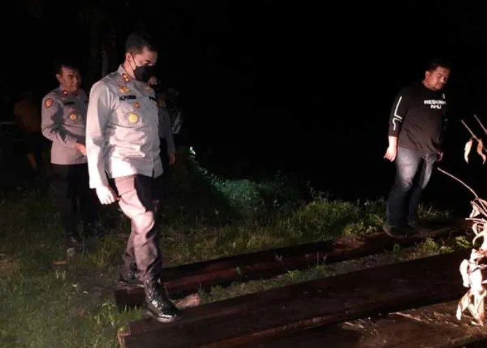 Polres Inhu Temukan Puluhan Kubik Kayu Ilegal Hasil Perambahan Hutan Lindung Kerumutan
