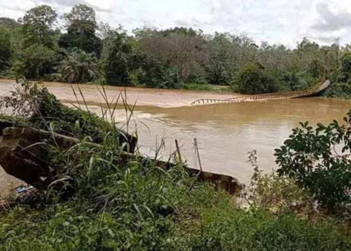 Jembatan Gantung Desa Persajian Inhu Ambruk, Masyarakat Harus Gunakan Pompong Untuk Menyeberang