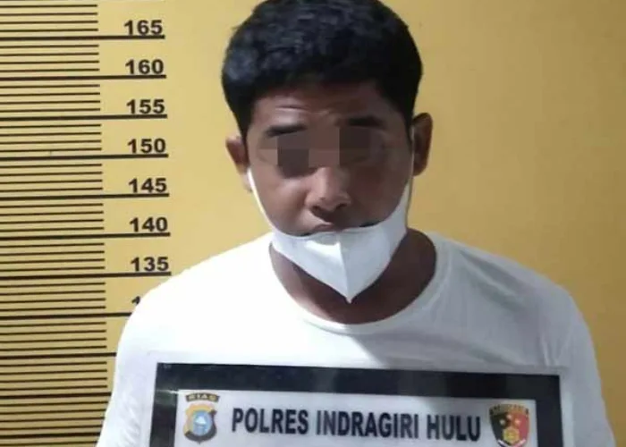 Sebelum Memperkosa Remaja 14 Tahun, Buruh Sawit Ini Minta Minum ke Korban dan Nonton Vidio Porno