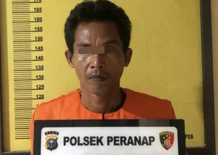 Bawa Kayu Olahan Hasil Ilegal Logging, Supir Berikut Dump Truk di Inhu Diamankan, Begini Kronologinya!  