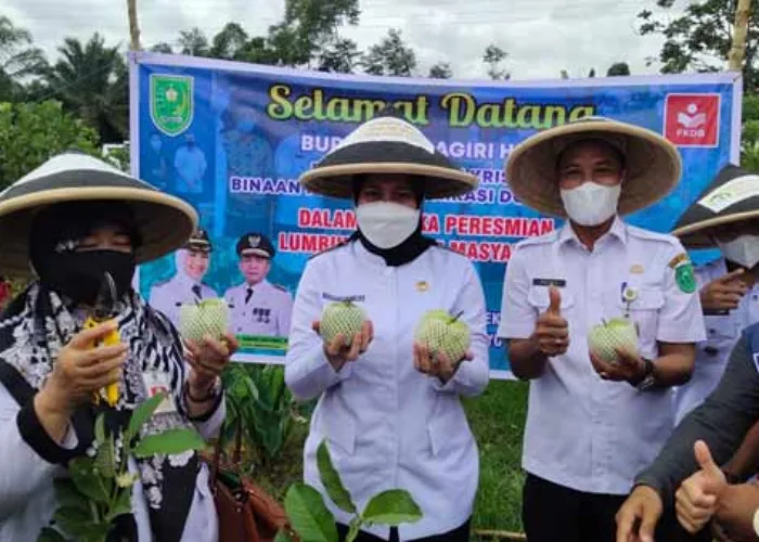 Jaga Ketersediaan Pangan, Pemkab Inhu Bangun Lumbung Pangan Masyarakat
