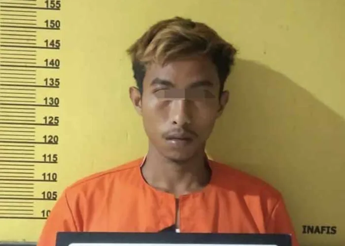 Tak Hanya Memanen Sawit, Lelaki Ini Nekat Garap Anak Majikan Berusia 13 Tahun, Kini Nasibnya Seperti Ini