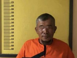 Setelah Supir dan Dump Truk Diamankan, Polsek Peranap Inhu Tangkap Pemilik Kayu