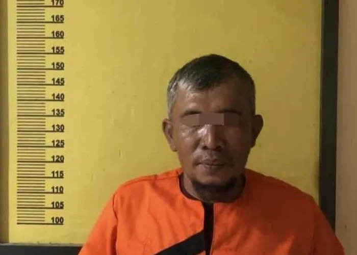 Setelah Supir dan Dump Truk Diamankan, Polsek Peranap Inhu Tangkap Pemilik Kayu