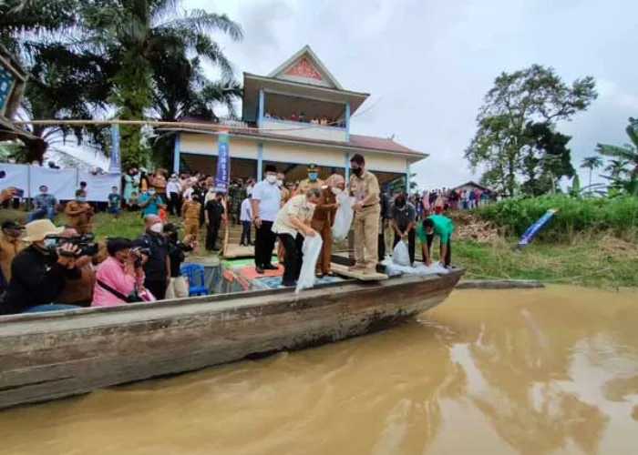 Bupati Rezita dan Gubernur Syamsuar Tebar 160.000 Bibit Ikan ke Sungai Indragiri