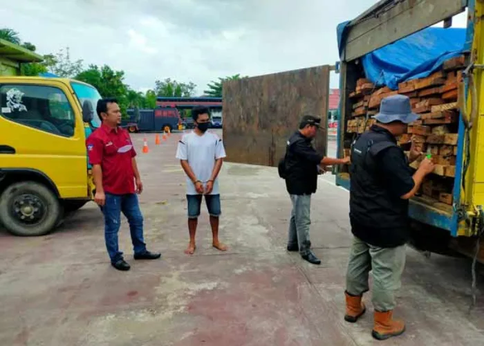 Tim Gabungan Polres Inhu dan Polhut Amankan Truk Berisi Kayu Diduga Hasil Perambahan TNBT
