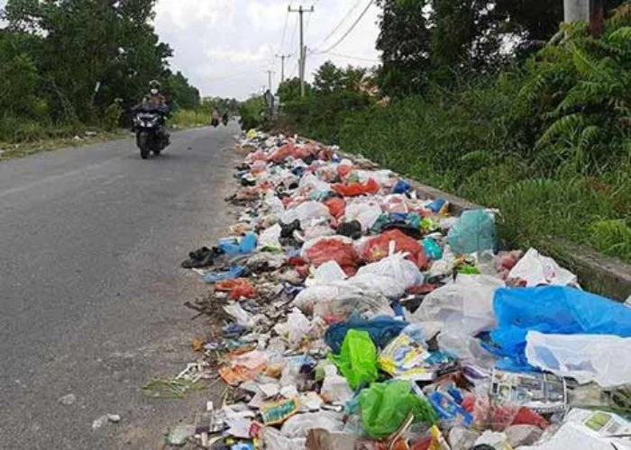 Muncul Tempat Pembuangan Sampah Liar di Pekanbaru, Ini Instruksi Walikota
