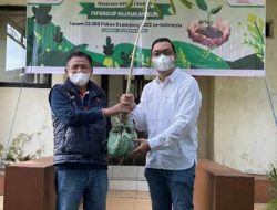 Kemilau HUT ke-33 Tahun, FIFGROUP Tanam 3000 Pohon di Mandalika