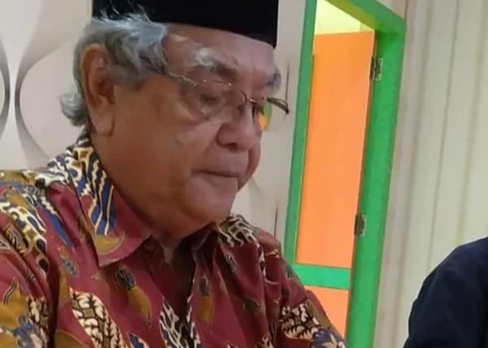 Mangrove di Bengkalis Terancam Punah, Dapur Arang Diduga Tanpa Izin Jadi Penyebab!