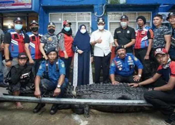 Ambil Air di Sungai, Warga Inhil Diserang Buaya, Berhasil Selamat Dijahit 24