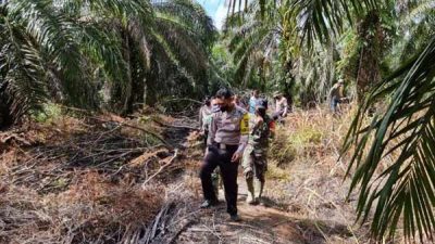 Warga Bengkalis Dicekam Ketakukan, Harimau Muncul Dekat Pemukiman
