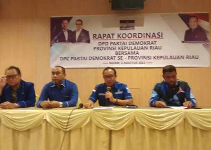 Ketua DPD Partai Demokrat Kepri Mundur, DPP Tunjuk Plt