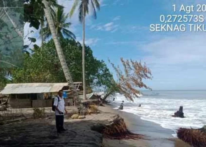 Ancaman Abrasi Menghantui 700 Rumah Sepanjang Pantai Tiku Agam Sumbar