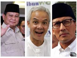 PPP Ungkap Dukungan Jokowi Bagi Tiga Sosok Berikut Jelang 2024