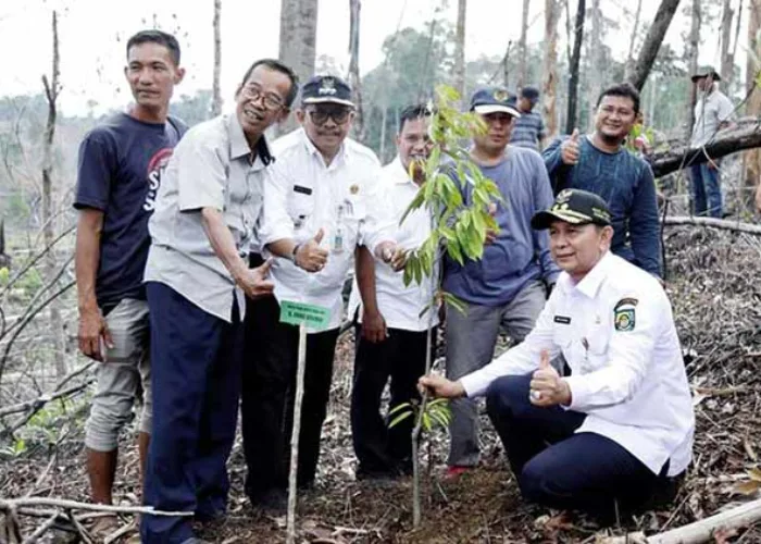 Tanam Bibit Durian, Wabup Indra Gunawan Ajak Masyarakat Awasi Pelaku Penebangan Hutan