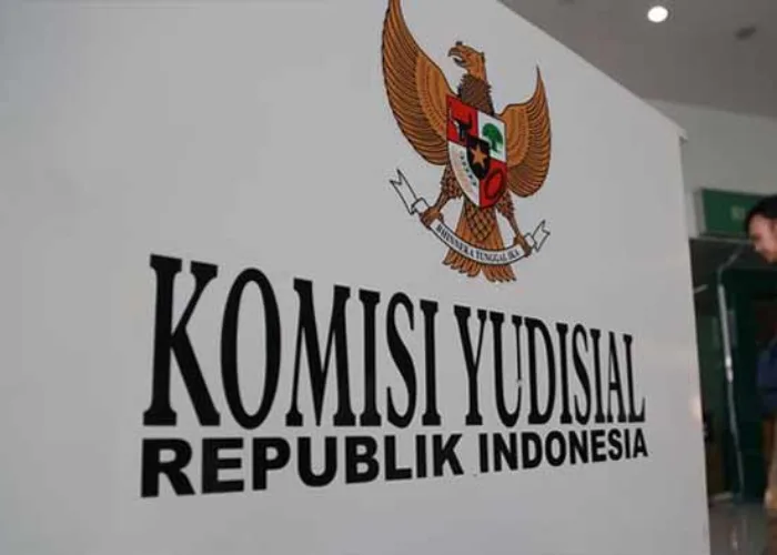 Soal Putusan Tunda Pemilu, KY Bakal Periksa Ketua PN Jakpus & Panitera