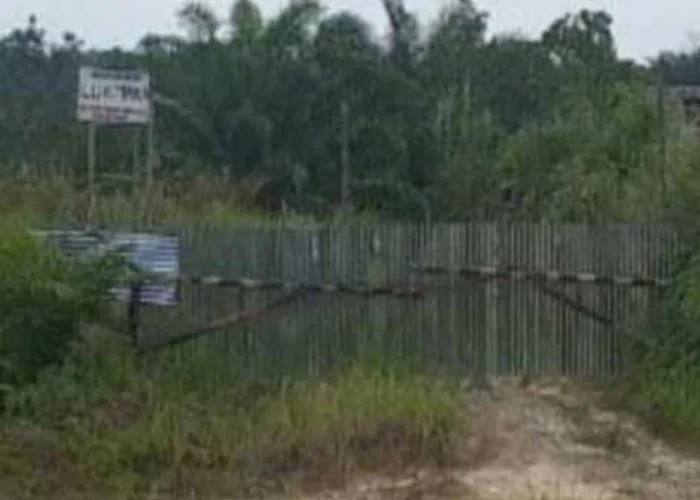 PTUN Cabut 6 SKGR di Kawasan Industri Tenayan, Kuasa Hukum Minta Semua Material Dibersihkan