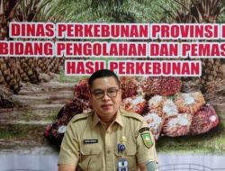 Kabar Gembira!! Harga TBS Sawit Riau Minggu Ini Naik