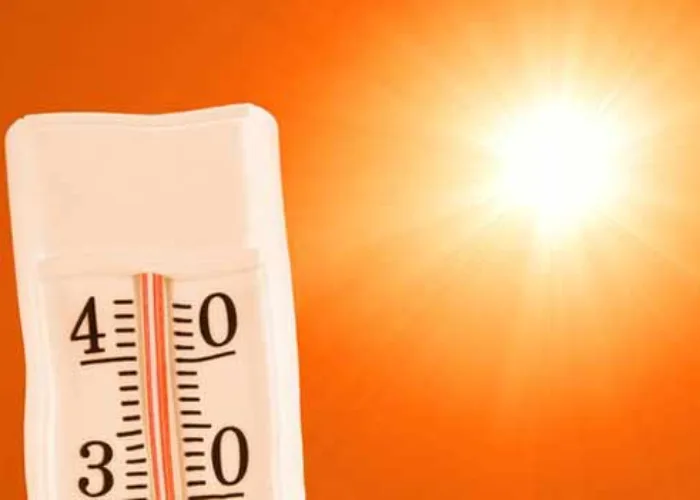 Panas Terasa Menyengat, Suhu Udara di Riau Capai 35 Derajat Celcius