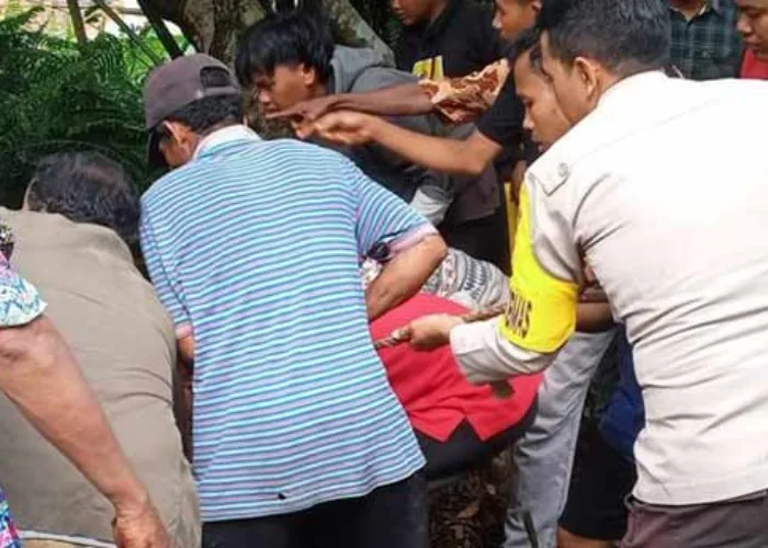 Warga Meranti Ditemukan Tewas Diterkam Buaya, Awalnya Cari Udang ke Sungai