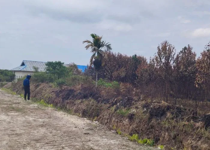 Lahan Dekat Sekolah Terbakar, Pelajar di Kampar Riau Tetap Belajar