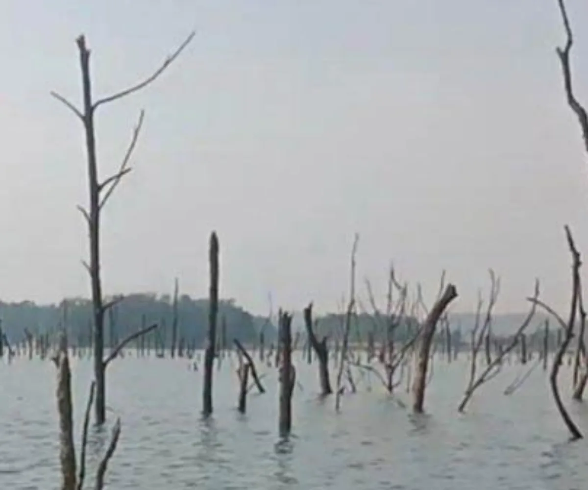 Elevasi Waduk PLTA Koto Panjang Turun 4,77 Meter, Tersisa 1,88 Meter dari Batas Terendah