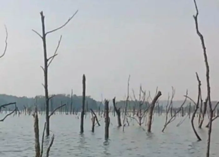 Musim Kemarau, Debit Air Waduk PLTA Koto Panjang Kampar Susut
