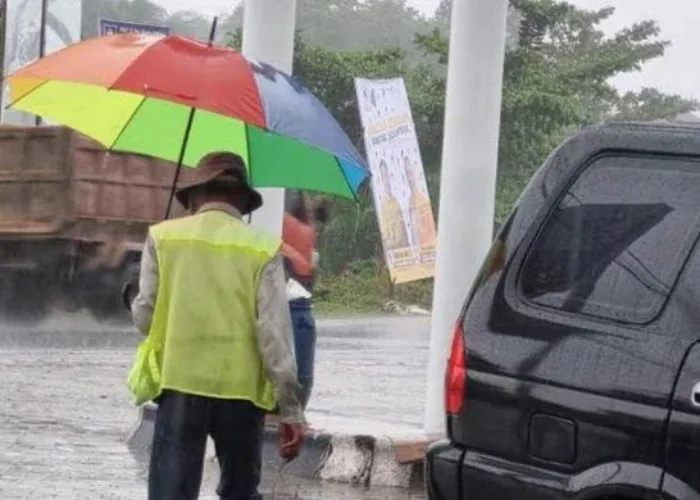 Hujan Kurangi Karhutla di Pelalawan, Saatnya Bersiap Antisipasi Banjir