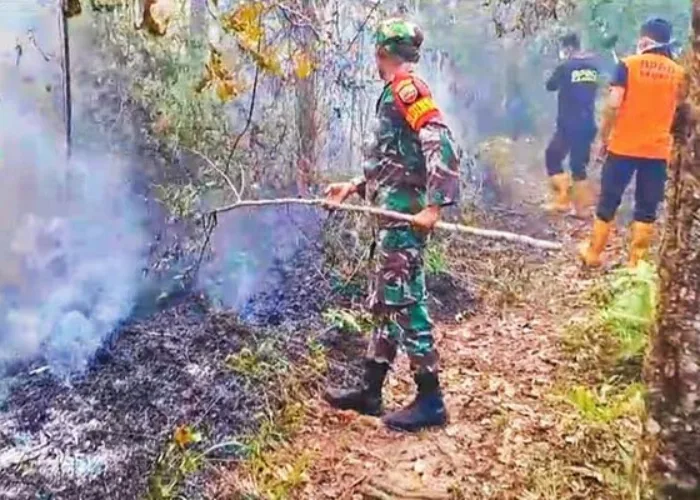 7 Hektare Lahan di Kampar Riau Terbakar, Ini Penyebabnya!