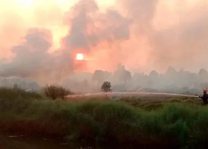 Karhutla Kembali Mengancam, Hotspot di Riau Terus Bertambah