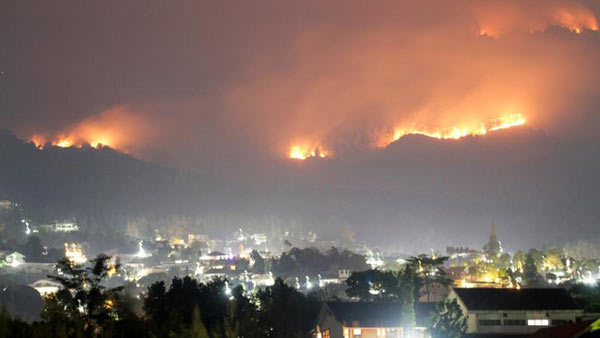 Api membakar hutan dan lahan kawasan Gunung Arjuno terlihat di Prigen, Pasuruan, Jawa Timur, Selasa (5/9/2023). (Foto: Antara/Umarul Faruq)