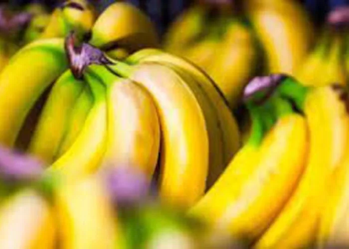 Penderita Asam Urat Ternyata Boleh Makan Pisang, Ini Alasannya!