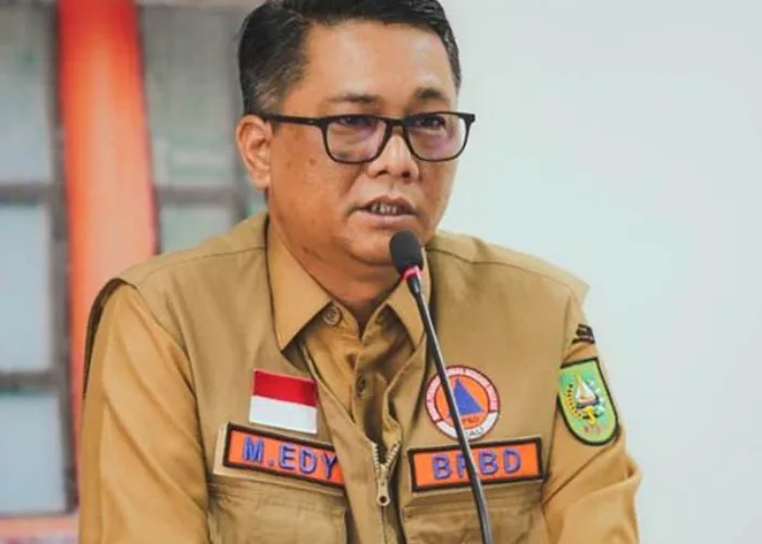 Asap Selimuti Riau, Kepala BPBD: Berasal dari Karhutla Sumsel dan Jambi