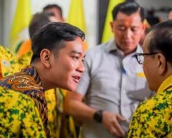 Gibran Dalam Bayang-Bayang Politik Dinasti