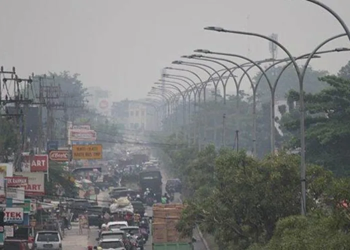 Kualitas Udara di Pekanbaru Hari Ini Masih Tidak Sehat
