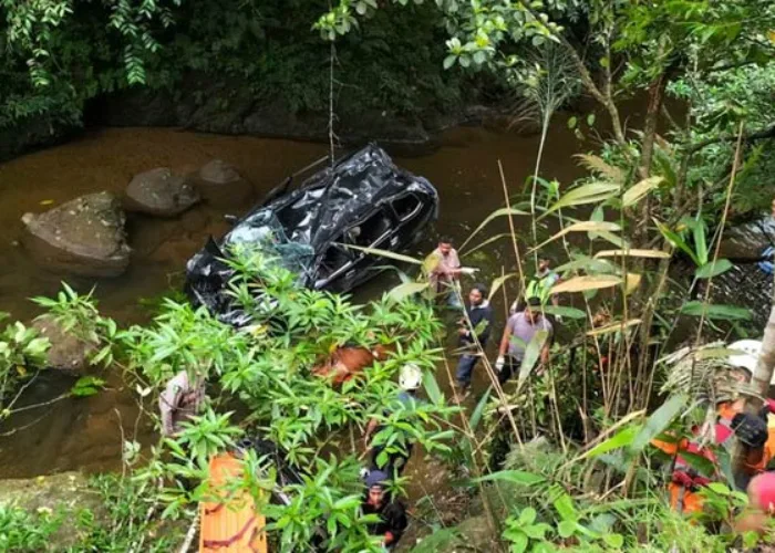 Minibus Masuk Jurang di Jalan Lintas Sumbar-Riau, Supir dan 2 Penumpang Tewas