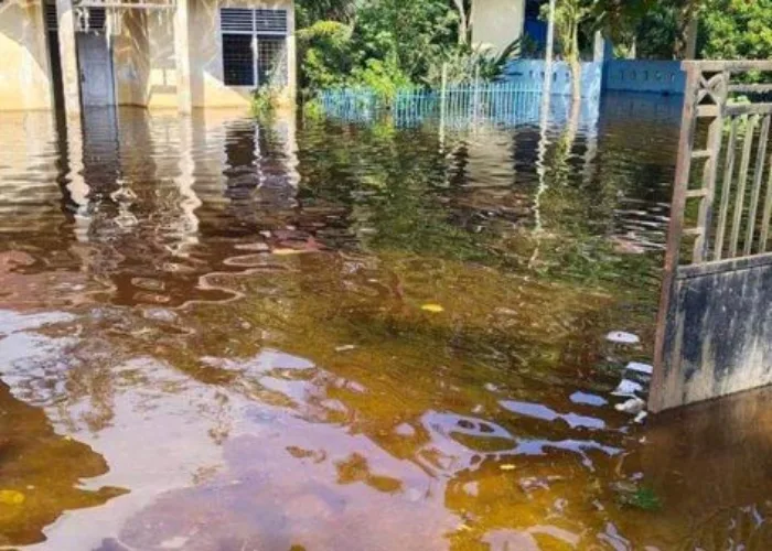 Sejumlah Desa di Tepian Sungai Kampar Terendam Banjir
