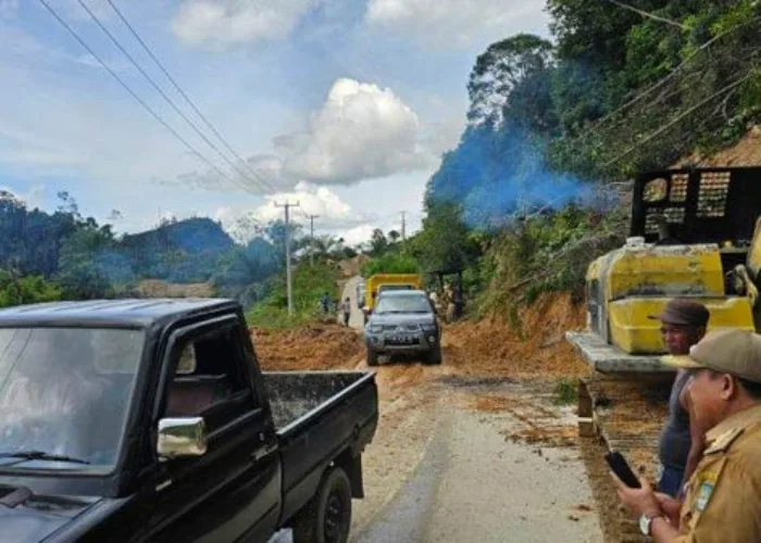 BPBD Petakan Daerah Rawan Longsor di Riau, Inilah Datanya!