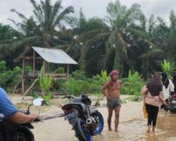 16 Desa di Inhu Terendam Banjir Akibat Meluapnya Sungai Indragiri