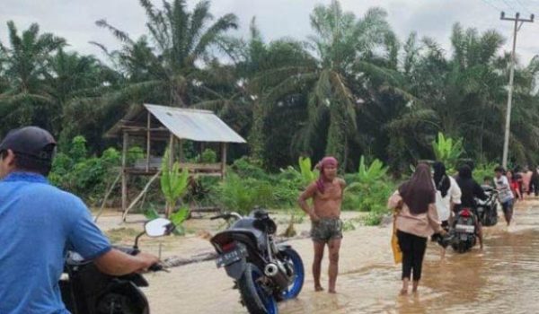 16 Desa di Inhu Terendam Banjir Akibat Meluapnya Sungai Indragiri