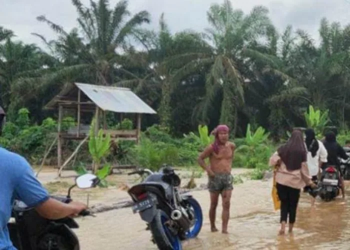 16 Desa di Inhu Terendam Banjir Akibat Meluapnya Sungai Indragiri