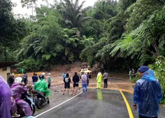 Longsor di Limapuluh Kota, Jalan Sumbar Riau Putus, 1 Tewas