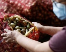 Jelang Natal dan Tahun Baru Harga Bawang Merah di Pekanbaru Naik Drastis