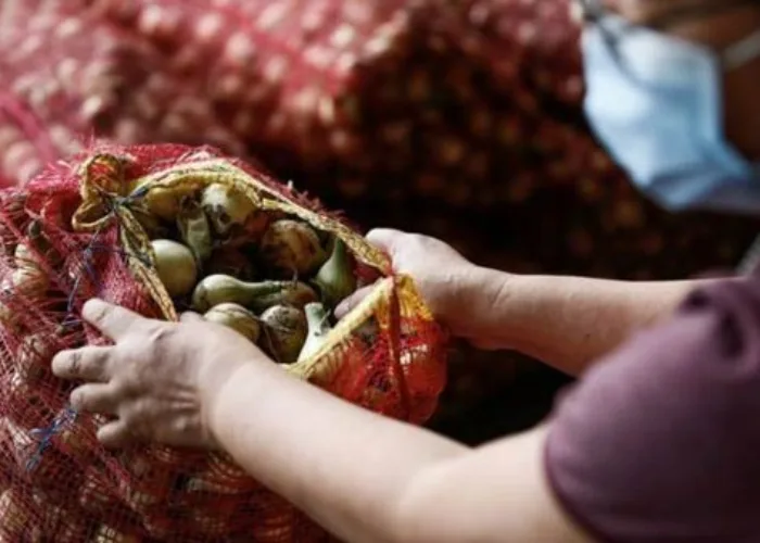 Jelang Natal dan Tahun Baru Harga Bawang Merah di Pekanbaru Naik Drastis