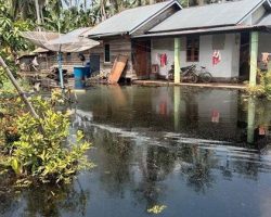 Ribuan Warga Inhil Bertahan di Tengah Genangan Banjir