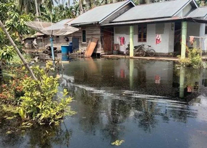 Ribuan Warga Inhil Bertahan di Tengah Genangan Banjir